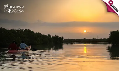 Sunrise OR Sunset Mangrove Kayaking Exploration Tour!